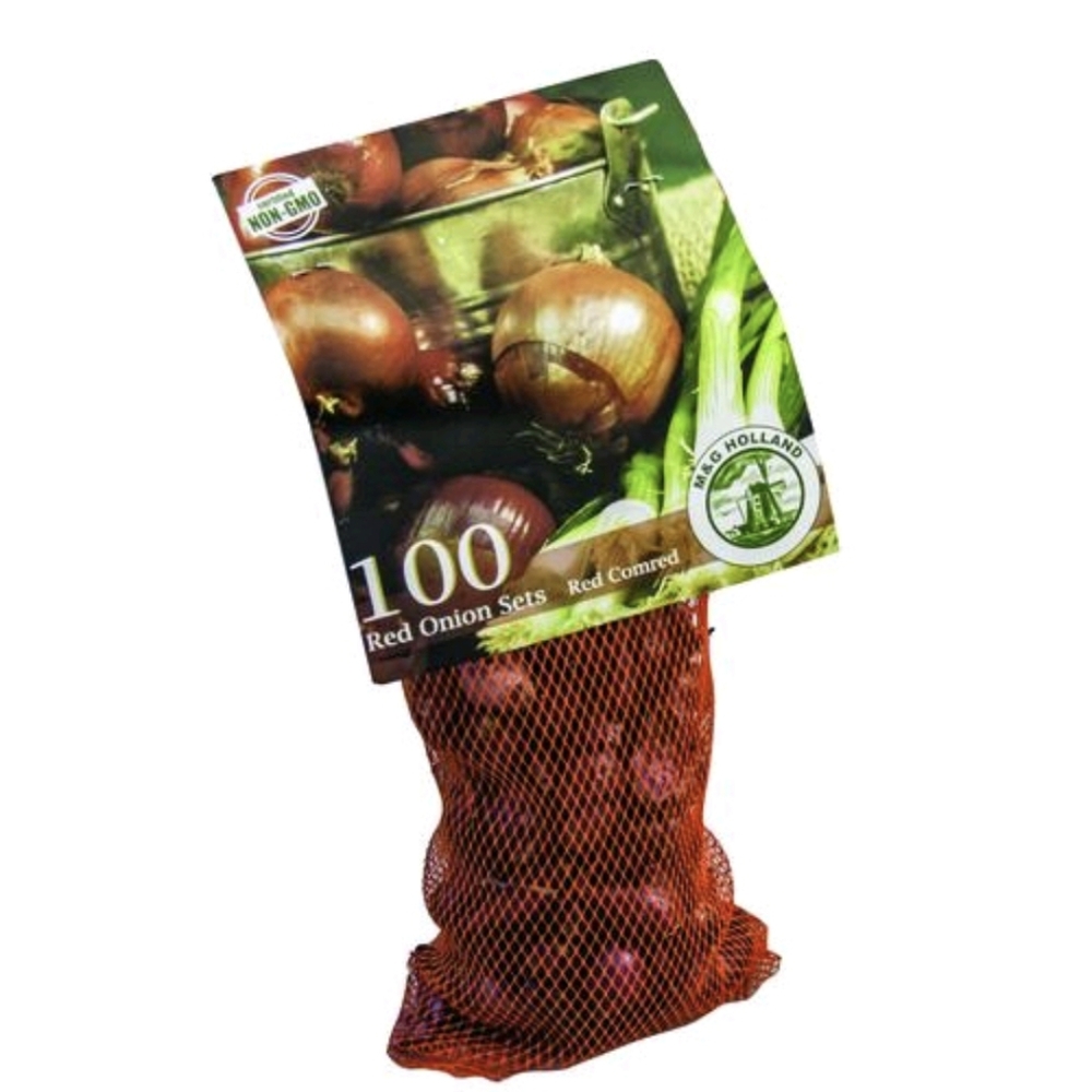 Red Onion bulbs in Mesh Bag